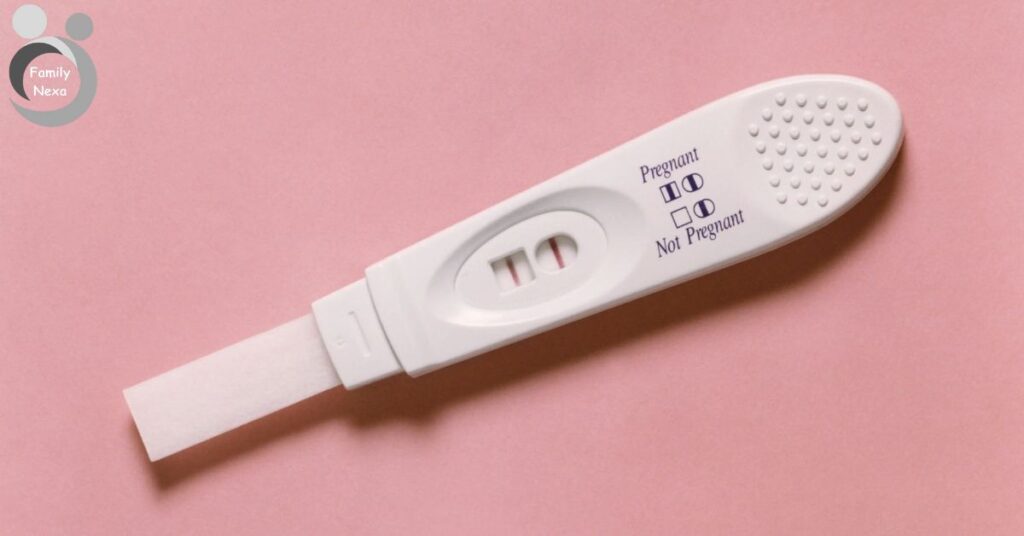 When Should You Get A Dye Stealer Pregnancy Test?
